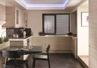 Remo Handleless Elm